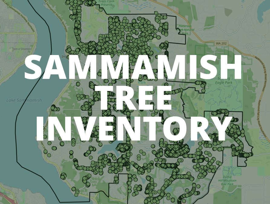 Sammamish Tree Inventory: Map with green circles representing city trees