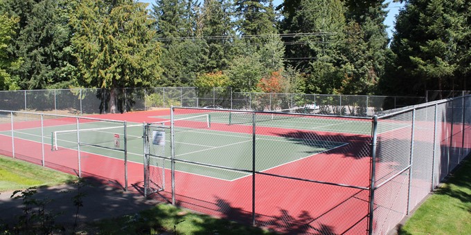 Tennis court at Northeast Sammamish Park surrounded by evergreen trees on two sides and grassy border on the other two sides.