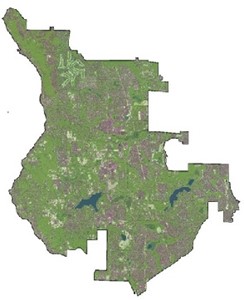 Map of city of Sammamish tree canopy cover