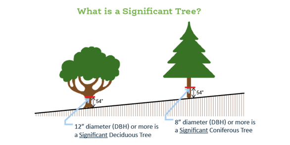 How to meaure a tree to determine if it is significant