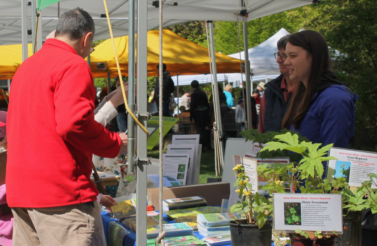 plant experts answer questions about noxious weeds at Earth Day fair