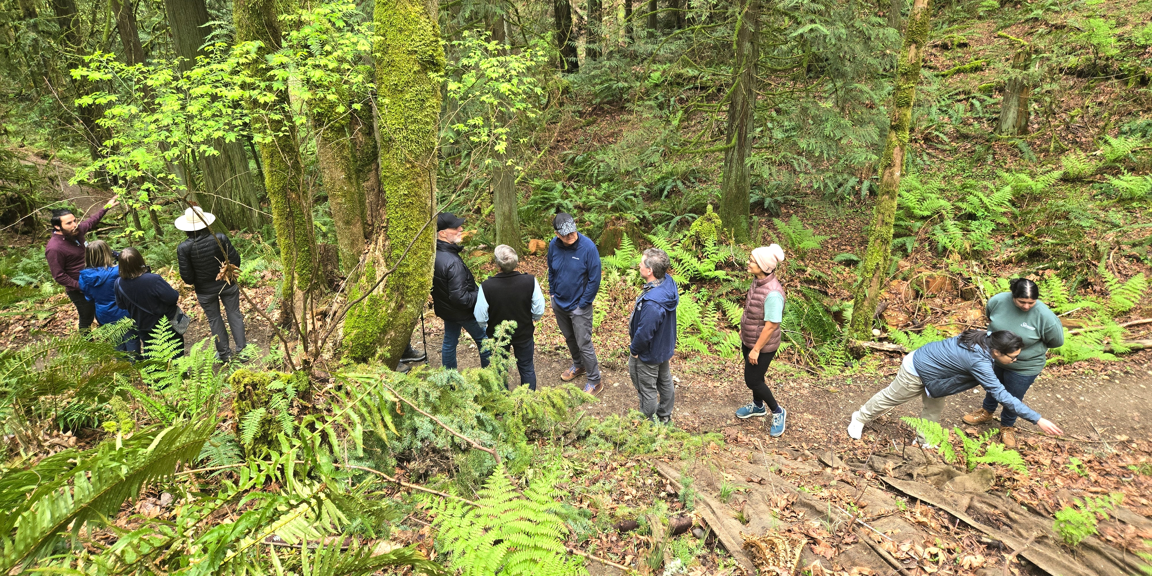 A group of ten people are standing on a dirt path in a lush forest, surrounded by ferns and mossy trees. The scene is lively and social.