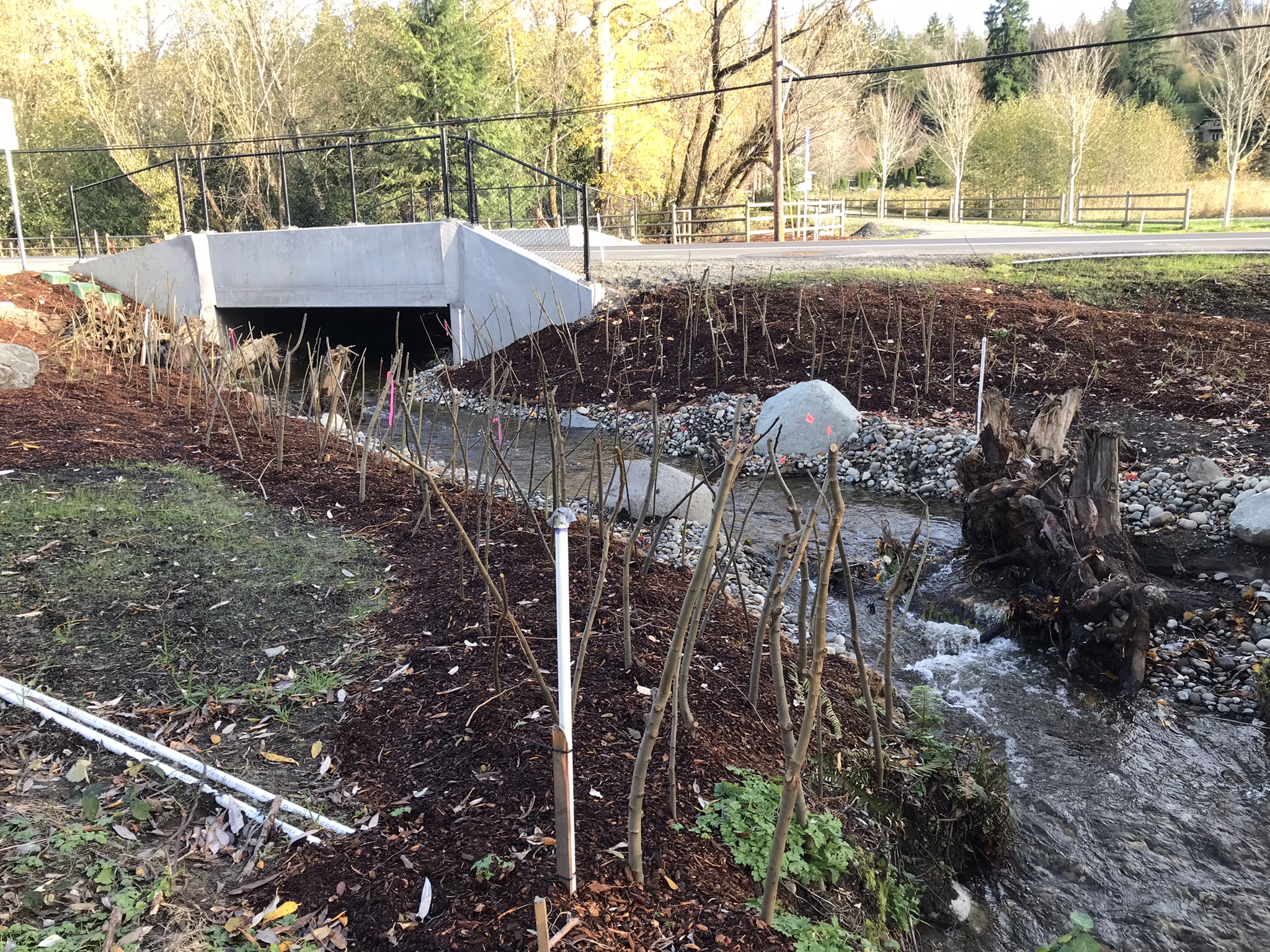 recently installed stream restoration project with culvert under trail, stakes planted on the streambank, and rocks and a log in the creek