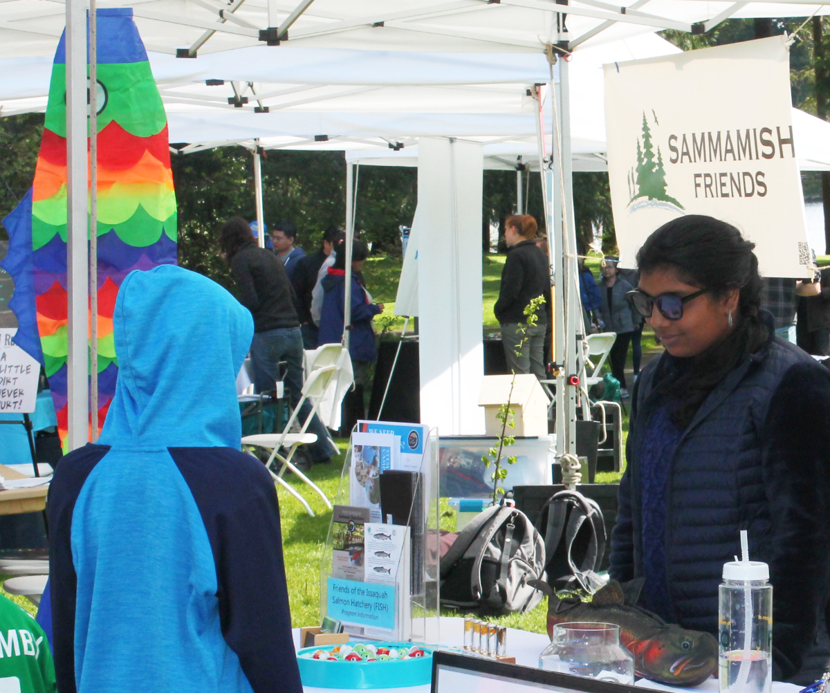 kid looking at salmon information at a Sammamish Friends booth at Earth Day