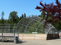Baseball diamond with bleacher and garbage bin in the foreground. The background is filled with evergreen and deciduous trees. A deciduous tree with red leaves is in the foreground.