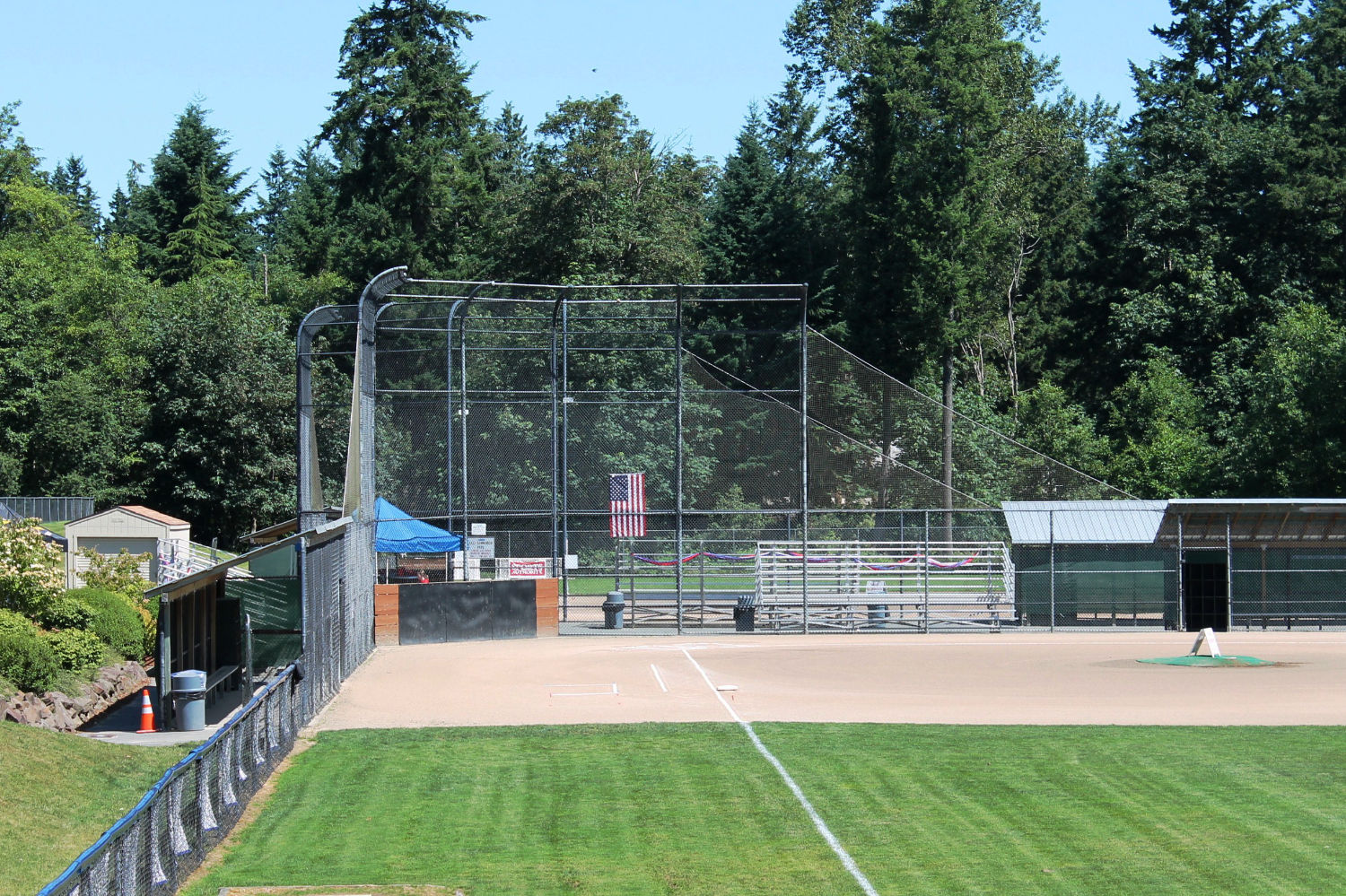 Baseball diamond at East Sammamish Park with two dugouts. Coniferous and deciduous trees loom in the background.