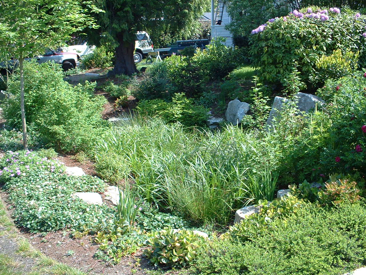 Area full of various vegetation: trees grasses, and shrubbery. Some blossoming plants and large rocks are mixed in the landscaping.
