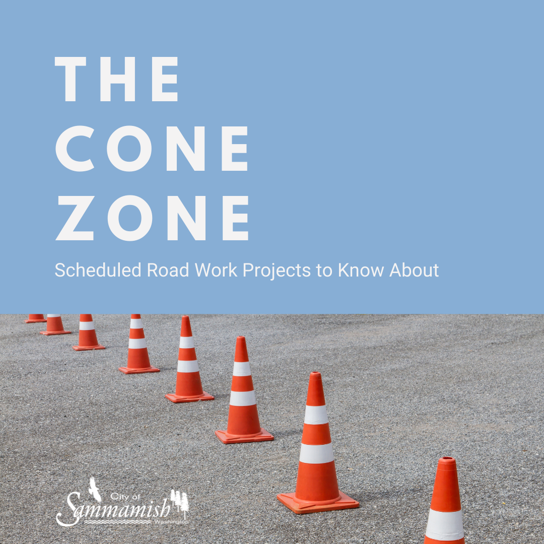 the cone zone scheduled road work projects to know about - photos of orange road construction cones lined up on road