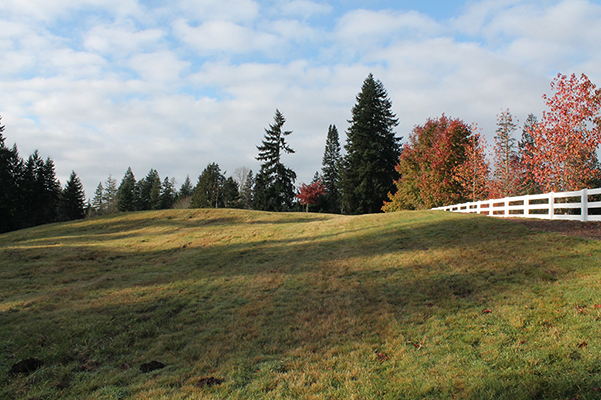 Photo for park improvement in Big rock park North - timeline