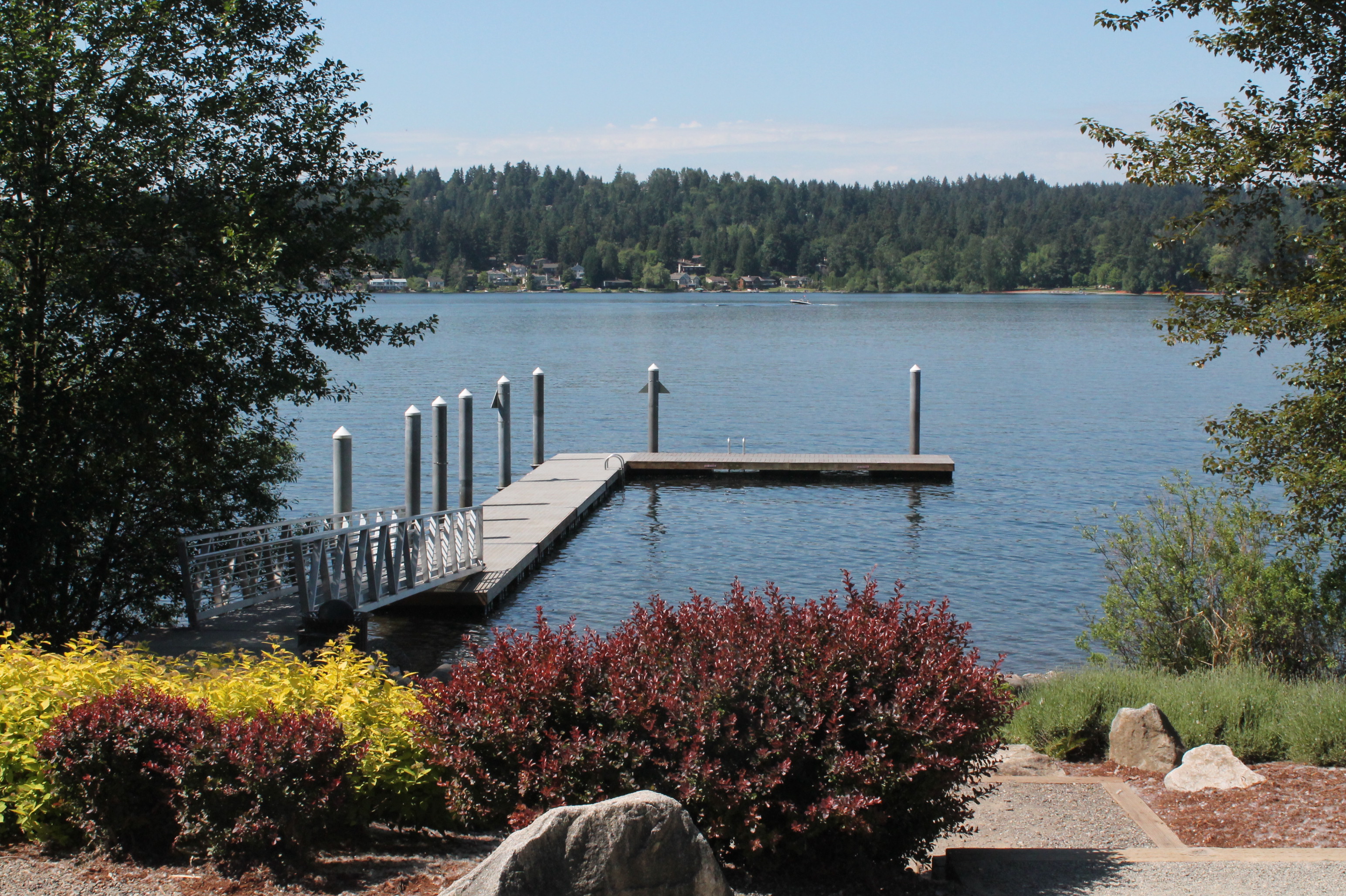 Lake Sammamish at Sammamish Landing with dock, vegetation and path in the foreground and trees and dwellings in the background on other side of the lake.