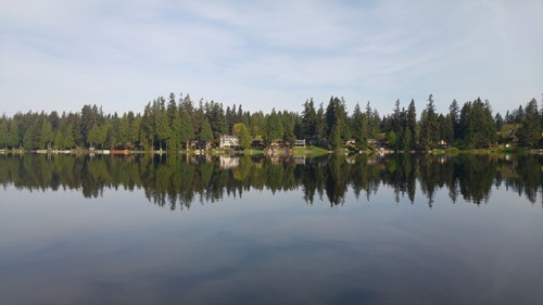 peaceful waters reflect a green skyline of trees and waterfront homes