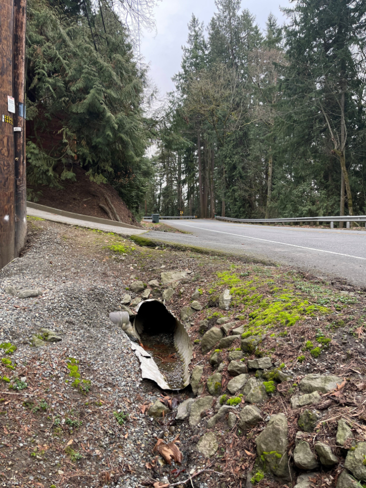 Louis Thompson Road with mossy and rocky ditch with drain on side. A utility pole, guard rail and trees are in the background.