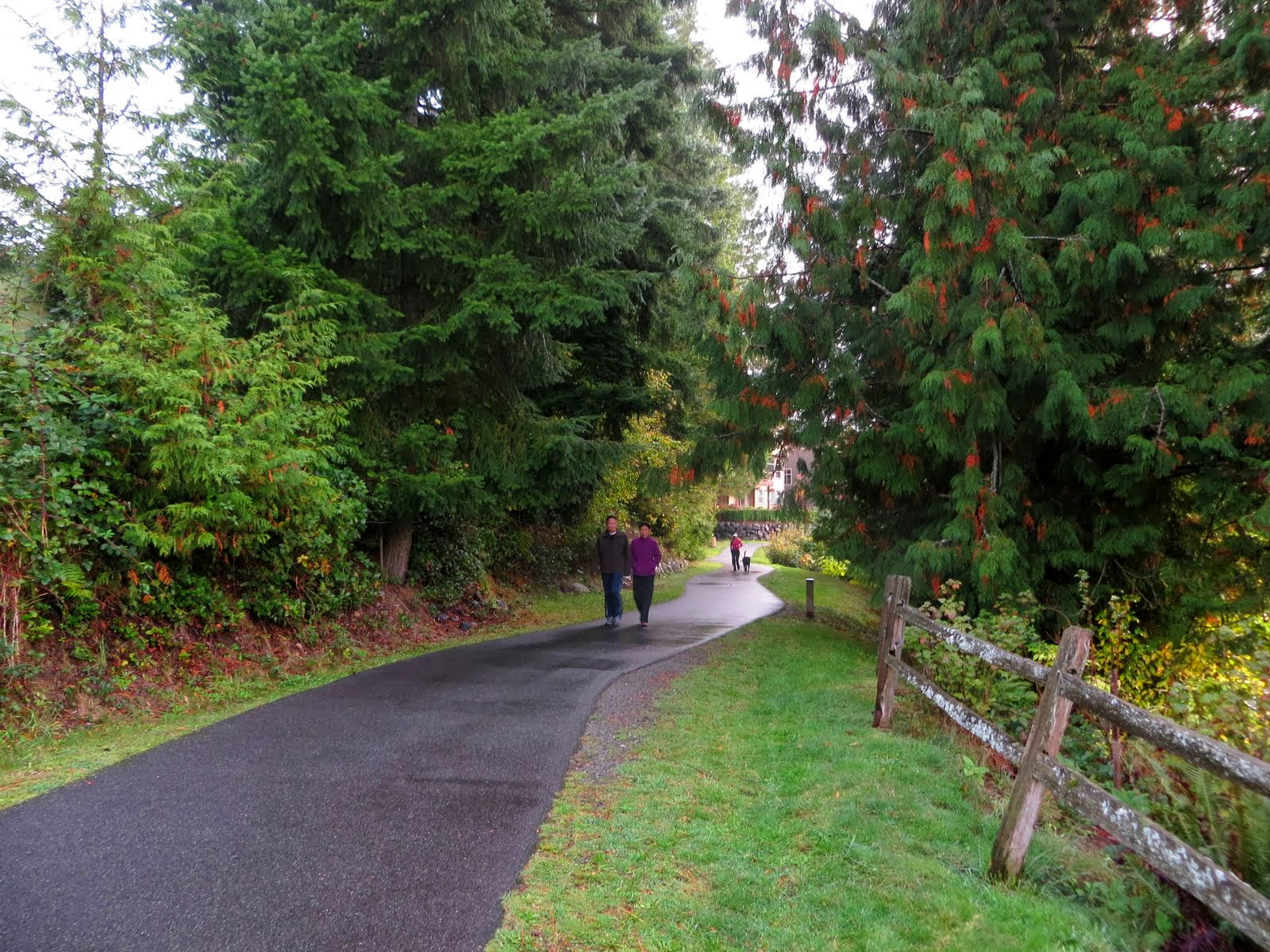 A pair of people wearing jackets stroll along paved tree-lined path at Illahee Park, another walker with dog a ways behind.