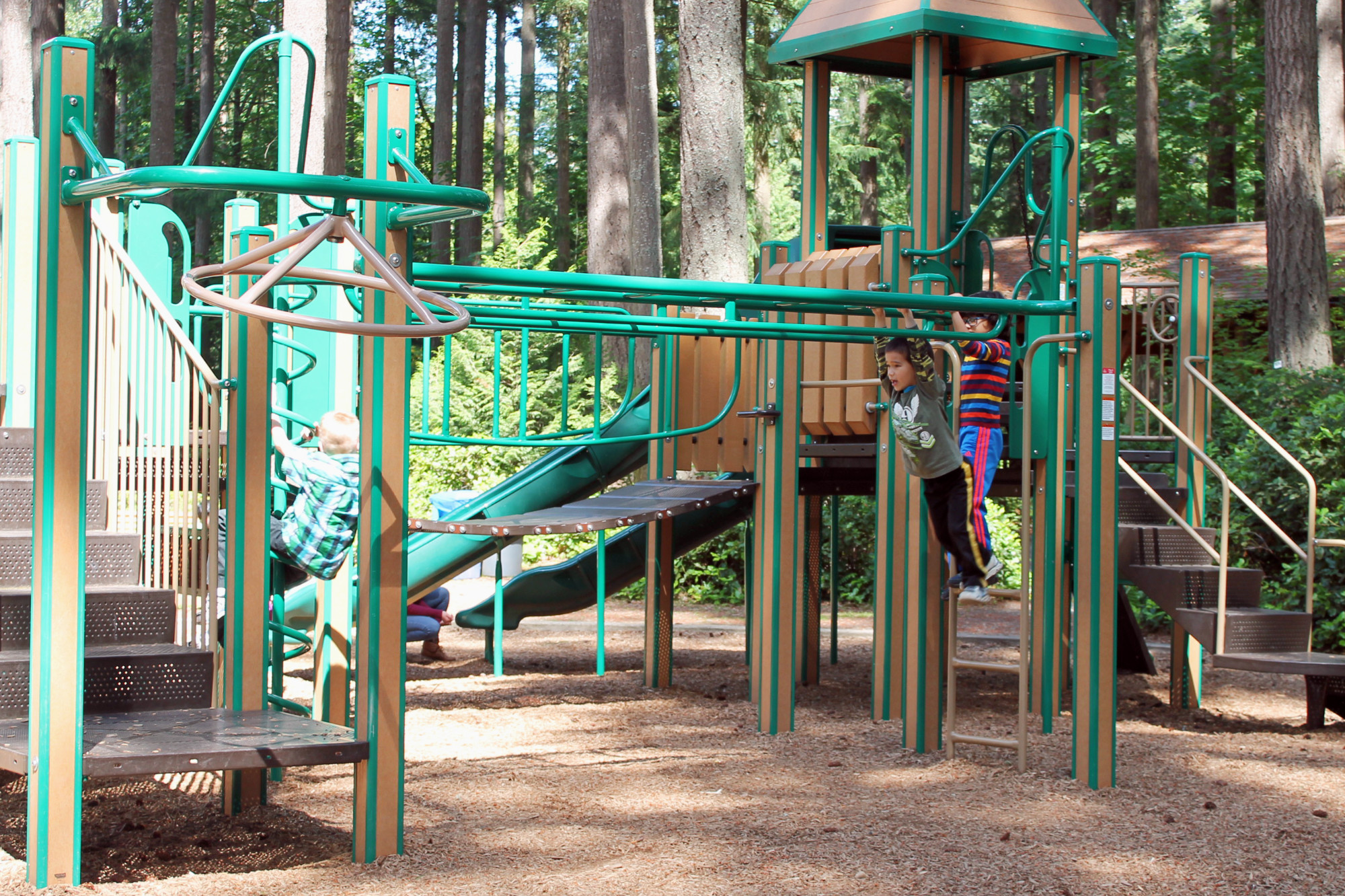 Kids playing monkey bars at Pine Lake Park playground. There's dappled shade over the wood chip play area.
