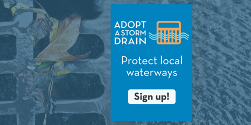 Adopt a storm drain to protect local waterways!