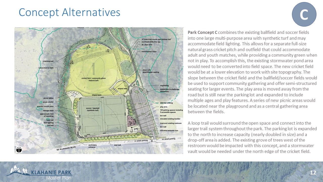 Park Concept C - combines existing fields into multi-use, lit turf area - would require building a stormwater vault