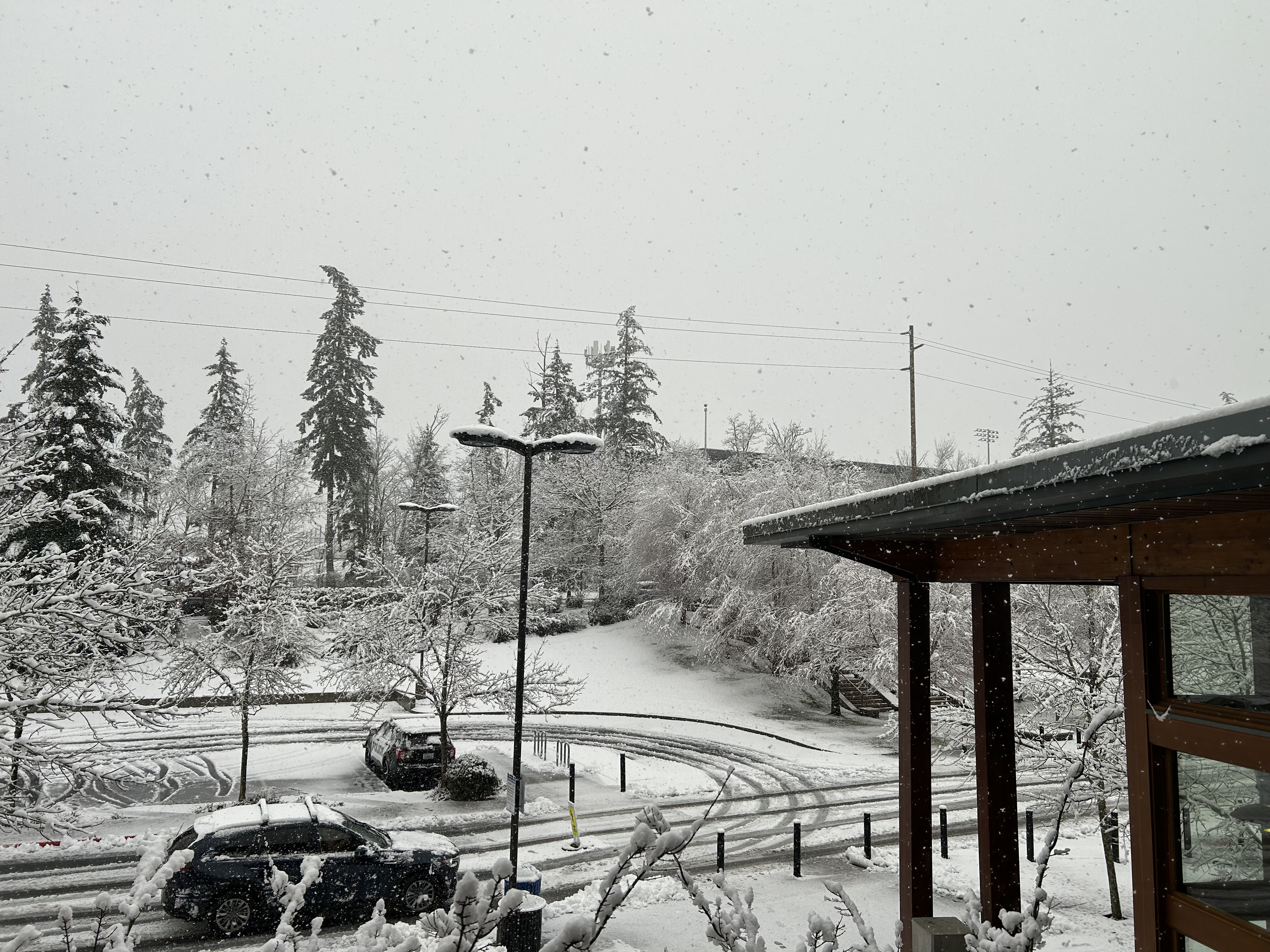 Sammamish snowy weather at City Hall