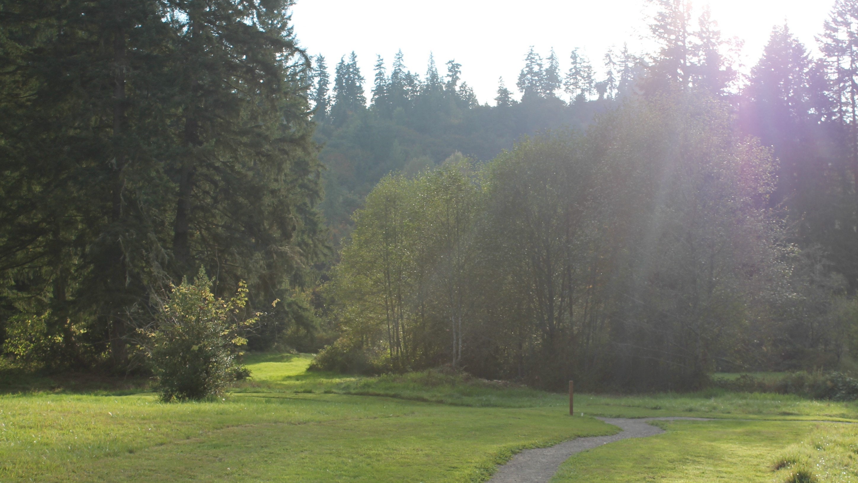 sun shining over a flat grassy area surrounded by trees at evans creek preserve