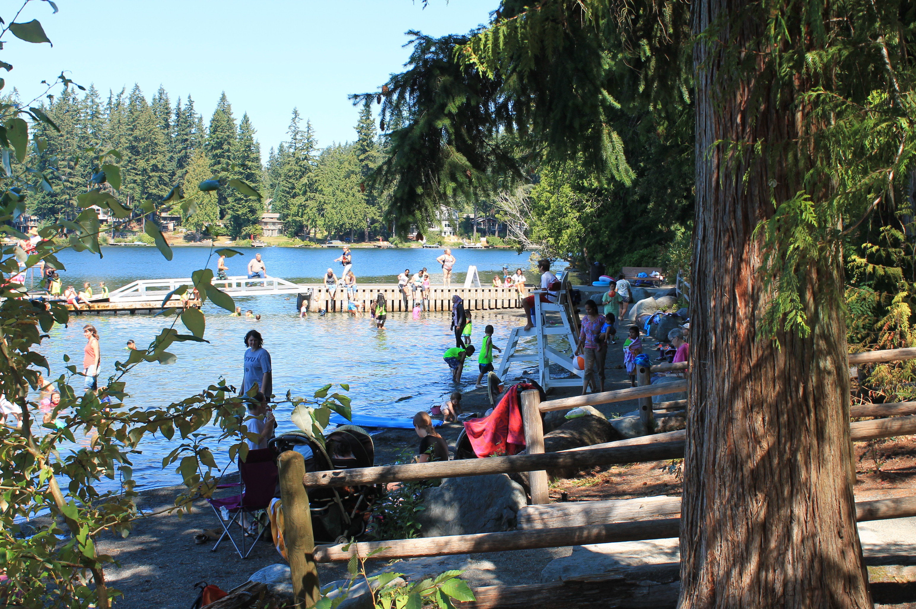 Sunny day at one of Sammamish's lakes with children and adults enjoying the water.