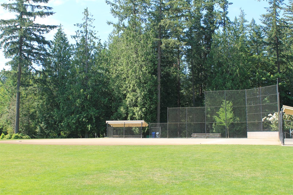 Baseball diamond at Pine Lake Park in front of tall conifer trees