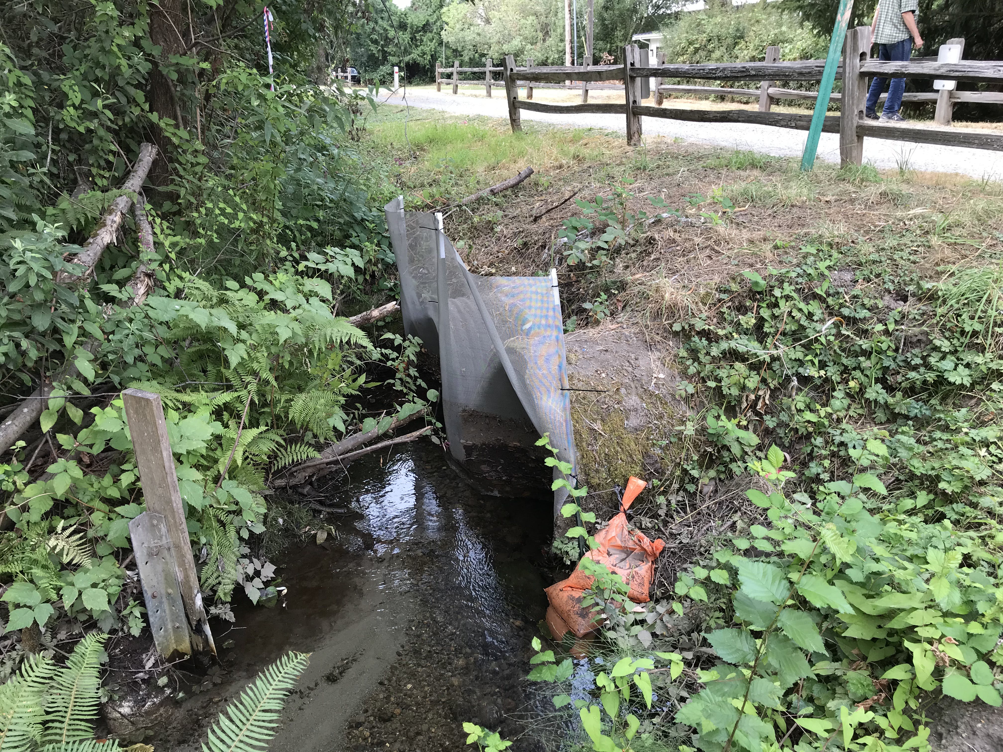 Fish screen at the upstream side of the trail culverts at Ebright Creek.