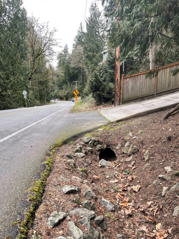 Louis Thompson Road with mossy and rocky ditch on side with leaves and a drain. A driveway, fence, road signs, and trees are in the background.