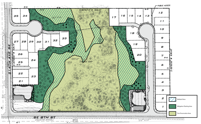 Site Plan for carrier subdivision, indicating development of 34 plots along the left and right sides of the site, with the center preserved as tree preservation, mitigation planting area, and wetland