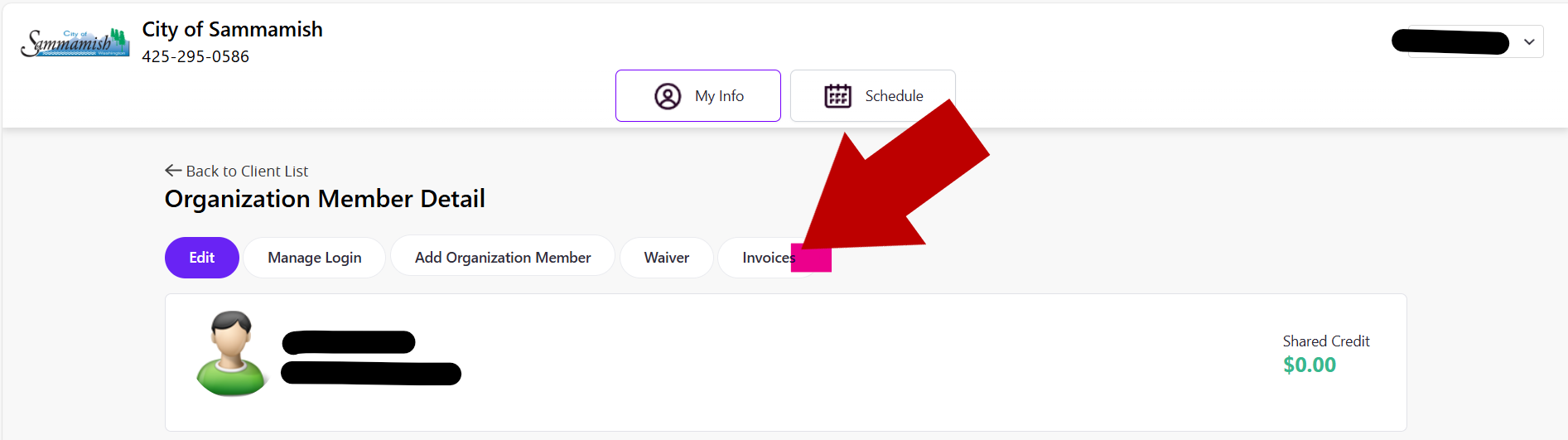 Making Online Payment Instruction