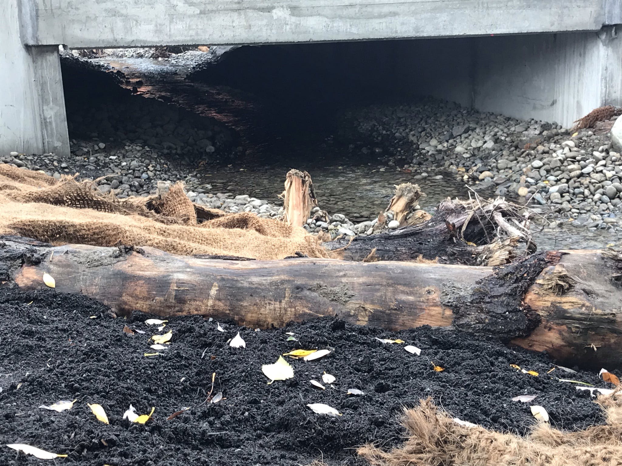 View from inside the new culvert from upstream at Ebright Creek showing the creek running through rocky banks. There is a giant water-washed log in the foreground.