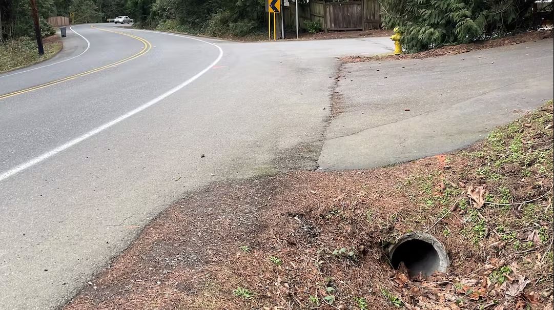 Louis Thompson Road with drainage ditch on side filled with leaves and dry pine needles. A driveway and intersection are in the background.