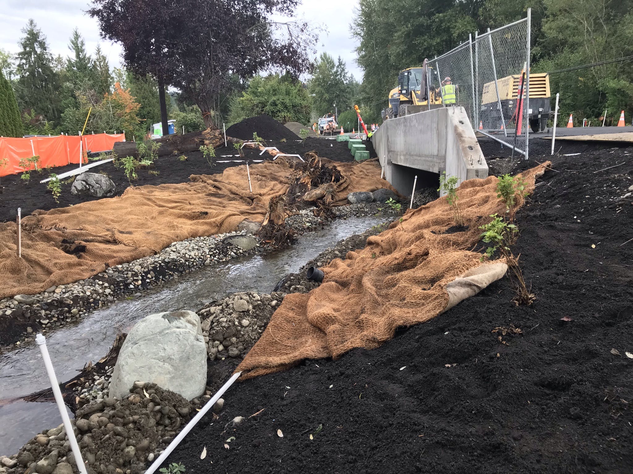 Downstream restoration and creek realignment at Ebright Creek.