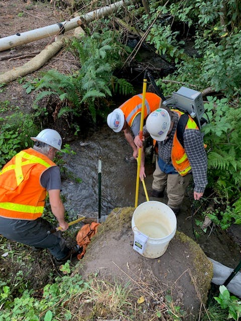 Three workers in orange construction vests remove fish from Ebright Creek before diverting the creek for installation of the new culvert.