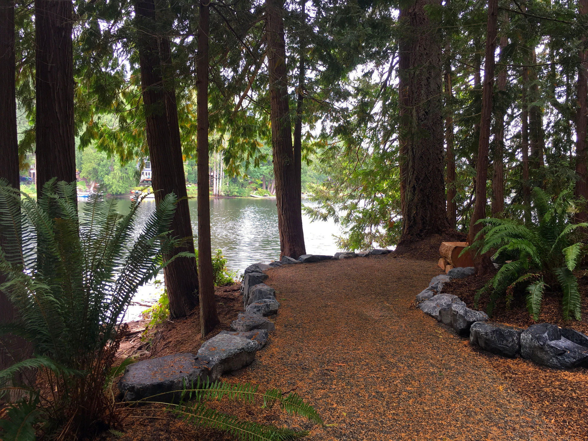 View of Beaver Lake through the trees on a leaf-covered, stone-bordered trail at Beaver Lake Park.