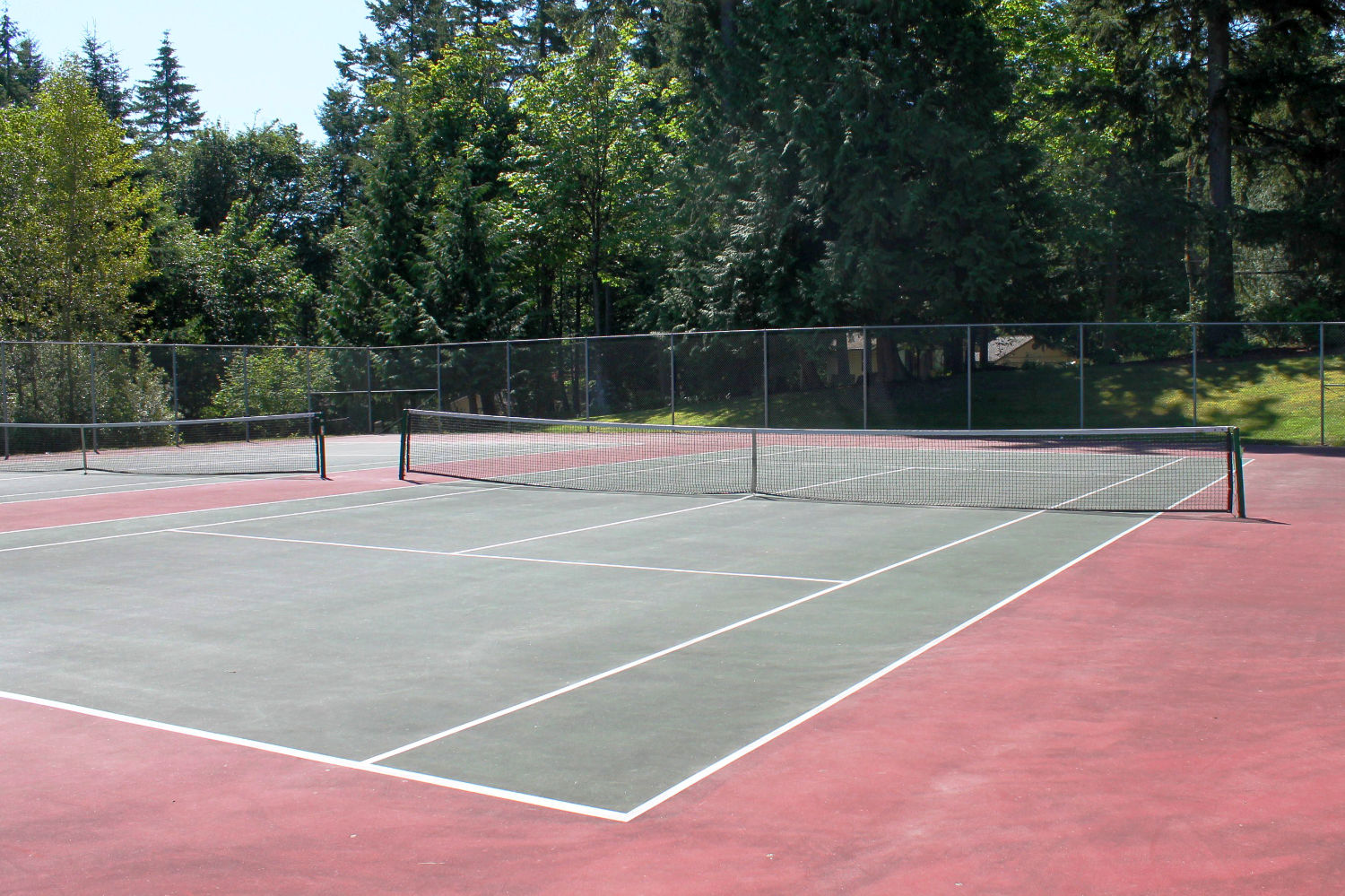 Vacant tennis court at East Sammamish Park surrounded by coniferous and deciduous trees.